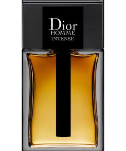 Alternative view of DIOR - Homme Intense EDP 100ml